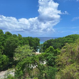 101 Batts Rock Beach Condos - 6