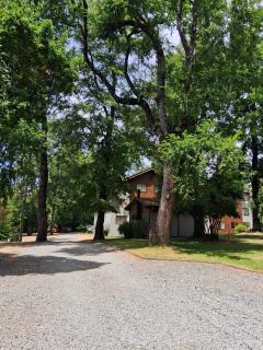 Bosque Volcánico - 9