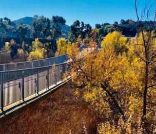 Les Délices Maison - 6