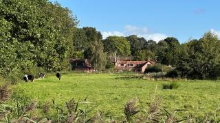 Danegelts Waveney Marshes Bed & Breakfast - 3