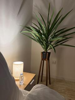 غرفة وصالة بمدخل مستقل - 4