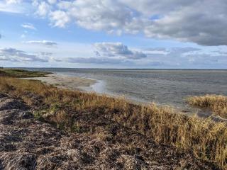 Seaside Serenity in Jaegerspris-By Traum - 3