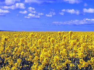Seaside Serenity in Jaegerspris-By Traum - 1