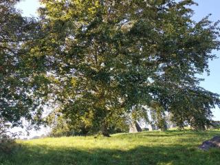 4 person holiday home in Grevinge-By Traum - 7