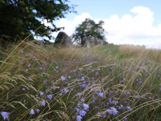 4 person holiday home in Grevinge-By Traum - 4