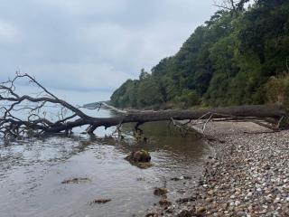 4 star holiday home in Hornsyld - 5