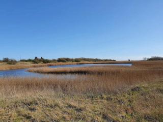 6 person holiday home in Gedser-By Traum - 2