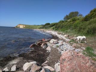 4 person holiday home in Karrebæksminde-By Traum - 2