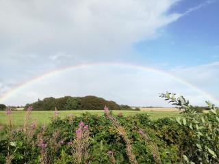 4 star holiday home in Hornsyld - 1