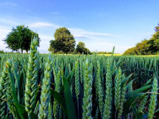 Charming Fisherman's Cottage - By Traum Ferienwohnungen - 4