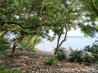 Charming Fisherman's Cottage - By Traum Ferienwohnungen - 2