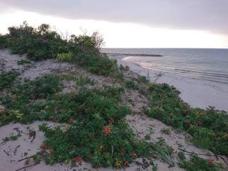 12 person holiday home in Hundested-By Traum - 8