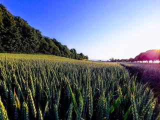 4 person holiday home in Borre - 9