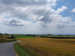 4 person holiday home in Borre - 3