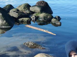 5 person holiday home in Karrebæksminde-By Traum - 1