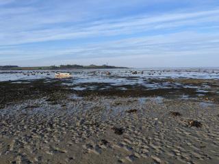 4 person holiday home in Jægerspris-By Traum - 9