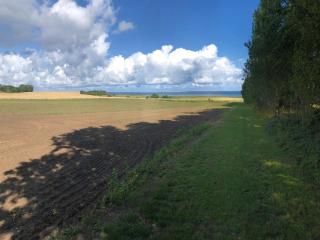 4 person holiday home in Jægerspris-By Traum - 4