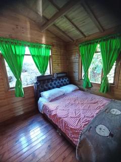 Cabañas 4 Caminos - 5