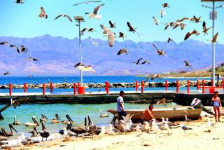 San Felipe Resort 3-bedroom rental villa - 1