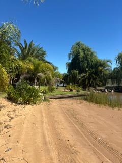 PATO NEGRO - Tigre - 7