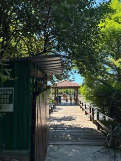 PATO NEGRO - Tigre - 6