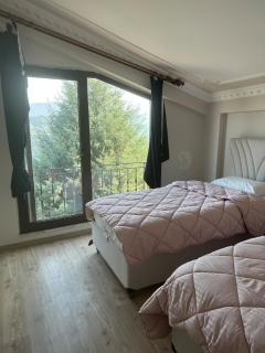 House overlooking a lake -  - 8