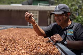 Hotel Finca Lerida Coffee Plantation and Boutique Hotel - 9