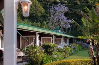 Hotel Finca Lerida Coffee Plantation and Boutique Hotel - 7