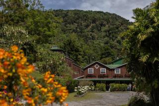 Hotel Finca Lerida Coffee Plantation and Boutique Hotel - 4