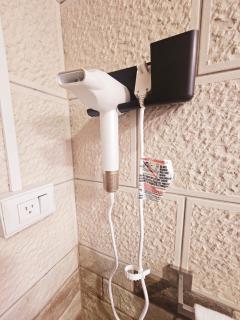 Kame House, Tortuguero - 9