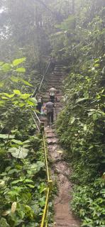 Exedra de Galeria Cafe. Mindo- Ecuador - 3