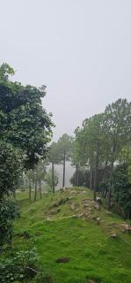 Murree villa - 4