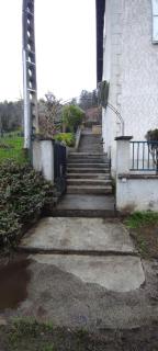 Le rouge-gorge - 9
