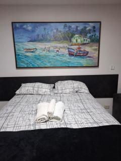 flat rooftop em praía de carneiros - 8