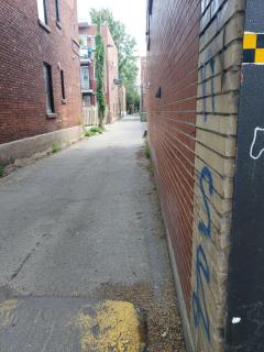 FULL KITCHEN 10min from DTOWN Room B - 3