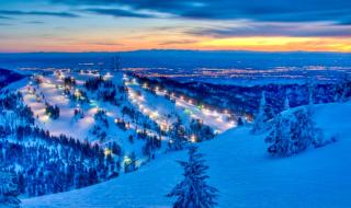 Game Night Downtown - Bsu - 21 Miles To Bogus! - 8