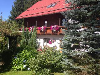Pension Roklan - Železná Ruda - 2