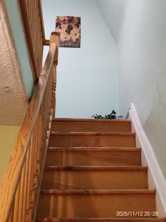 Ottawa University center near train Station & Parliament - 9