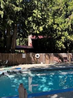 Spacious Luxury Cabin Rental for Group Mountain Retreat near Leavenworth - 9