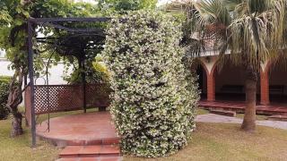 Mi pedacito de Cielo!!!! - 2