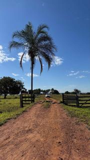 Hotel fazenda Monte Verde - 7