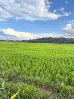 Swasthiks Home stay - 3