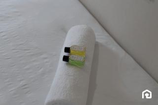 Vacant Nests Seton Sands St Andrews - 1