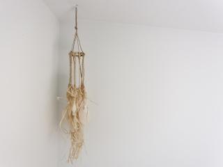 Suite in Kamperland near Beach - 1