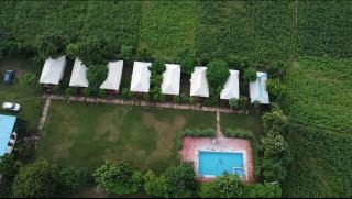 The Jungle Enclave Boho - 5