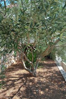 Seaside apartments with a swimming pool Cove Pribinja, Hvar - 24171 - 3