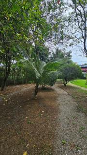 Apartamento em serra - Serra - 0