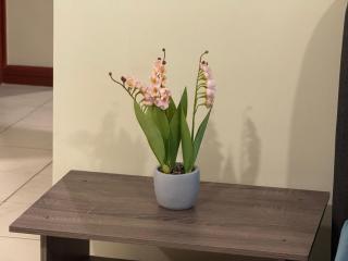 Spacious Home for 12pax - Kuching Riverfront - 1