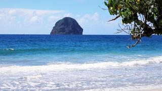 Villa Salamandre, swimming pool, beach, shops 100 m away - 4