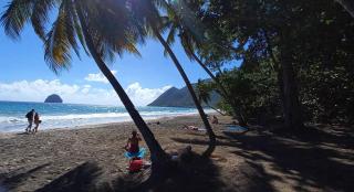 Villa Salamandre, swimming pool, beach, shops 100 m away - 9